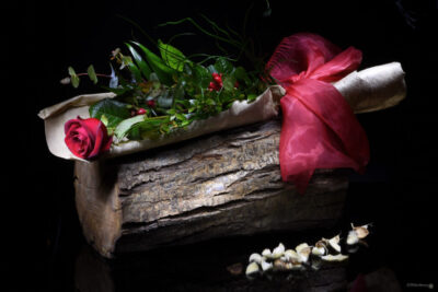 rosa rossa san valentino